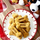 Homemade Cut-Out Dog Treats